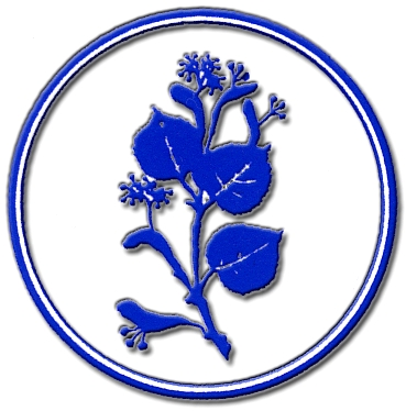 Magyarorsz�gi Szlov�kok K�zhaszn� Alap�tv�nya